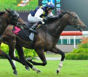 Matterhorn proves too strong for stablemate Masthead in Race 9<br>Photo by Singapore Turf Club